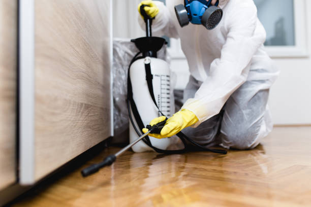 Best Pest Inspection Near Me  in Southwest Sandhill, TX