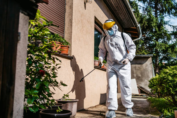 Best Termite Control Services  in Southwest Sandhill, TX