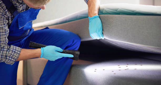 Best Emergency Pest Control  in Southwest Sandhill, TX