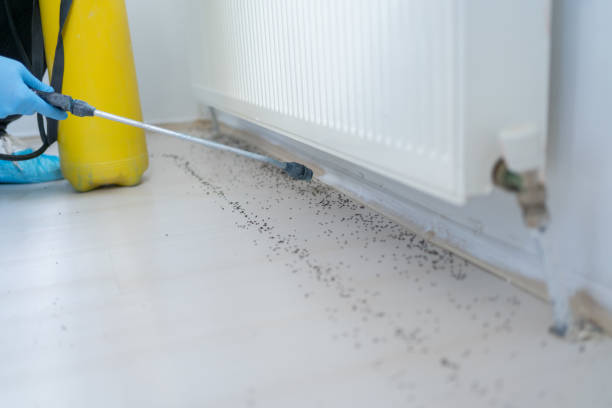 Best Pest Removal Services  in Southwest Sandhill, TX