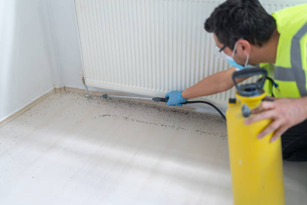 Best Termite Control Services  in Southwest Sandhill, TX